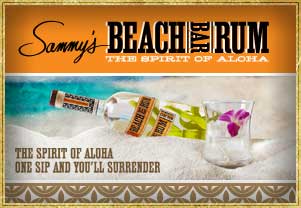 promo-beachbarrum