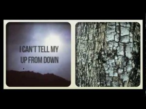 Alice in Chains Hollow snip